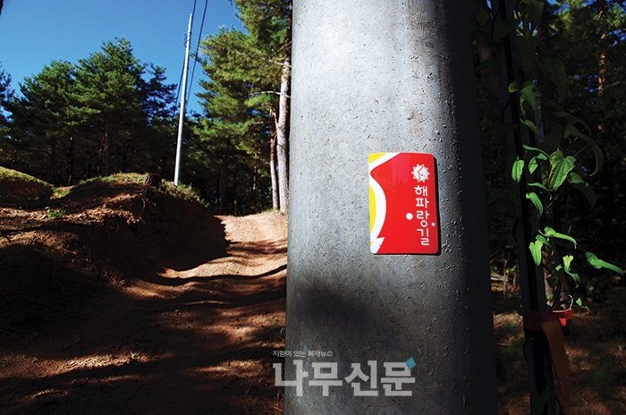 고개 넘어 옥계시장 가는 길 