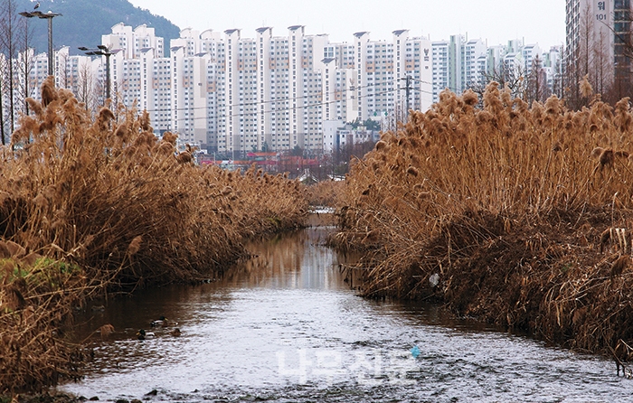 숲에서 물을 보다 