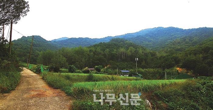 옛 마을에서 대구시 달성군 화원자연휴림과 마비정마을 