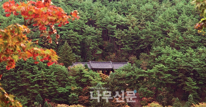 보물을 찾아서 