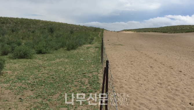 국립산림과학원, 국제 공동연구로 사막화·황사 저감 효과 입증