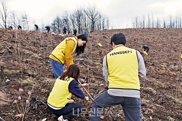 산불이 할퀴고 간 안동에 '한샘숲 3호' 조성 완료 - 뉴스 썸네일 이미지