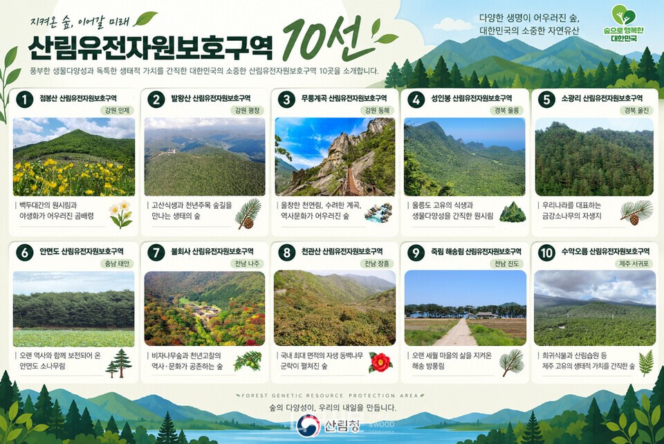 산림청, 산림유전자원보호구역 10선 선정...숲의 가치 국민과 나눈다 - 뉴스 썸네일 이미지